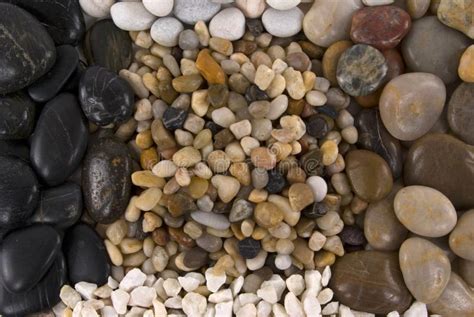 Pebbles stock image. Image of variety, therapy, shape - 2290465