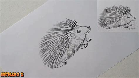 C Mo Dibujar Un Erizo How To Draw A Hedgehog Youtube