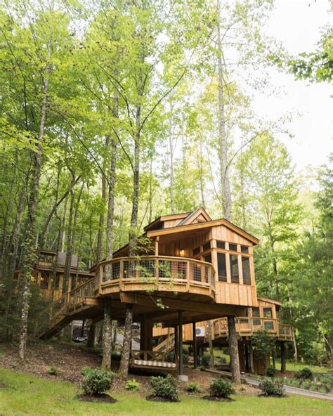 Beautiful Tree Houses Cool Tree Houses Beautiful Homes Dream Weekend