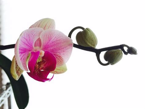 PM Water Cooler Naked Capitalism