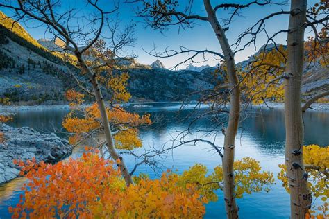 Sunlight Trees Landscape Fall Mountains Lake Nature Reflection