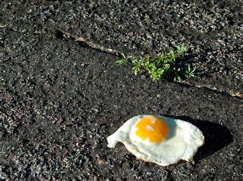 How Hot Is It Not Hot Enough To Fry An Egg On The Sidewalk Laist