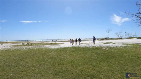 Fort De Soto Park: East Beach, Dog Beach, Gulf Pier Beach, North Beach