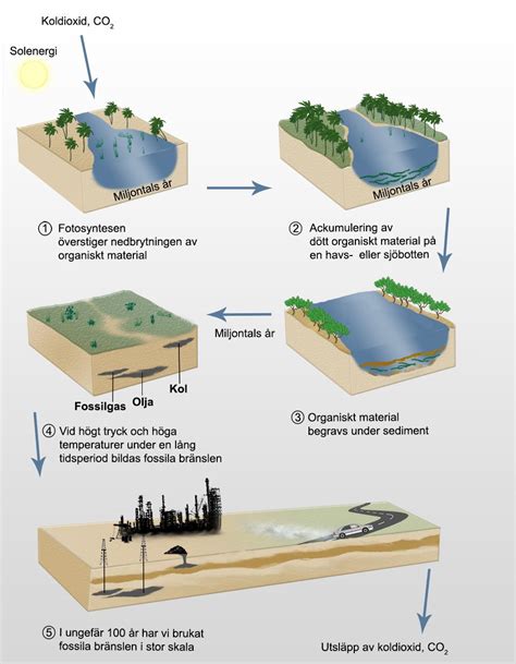 Fossila bränslen och klimatförändring