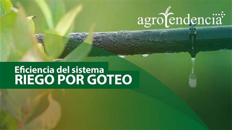 Todo Lo Que Debes Saber Sobre El Riego Con Agua Tratamos El Agua