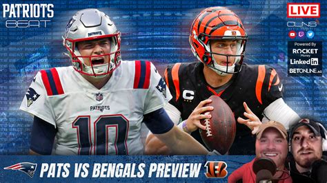 Previewing the Patriots vs Bengals Christmas Eve Clash - CLNS Media