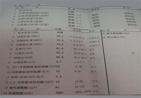 肝功能化验单表格 有来医生