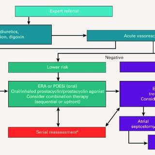 Paediatric Idiopathic Familial Pulmonary Arterial Hypertension