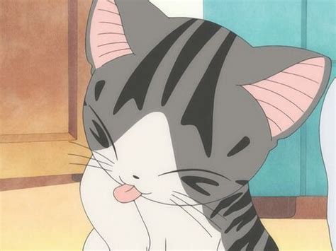 Los Mejores Gatos Del Anime •anime• Amino