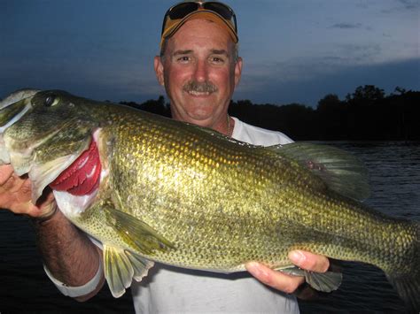 Big Bass Pictures Photos Of Trophy Bass