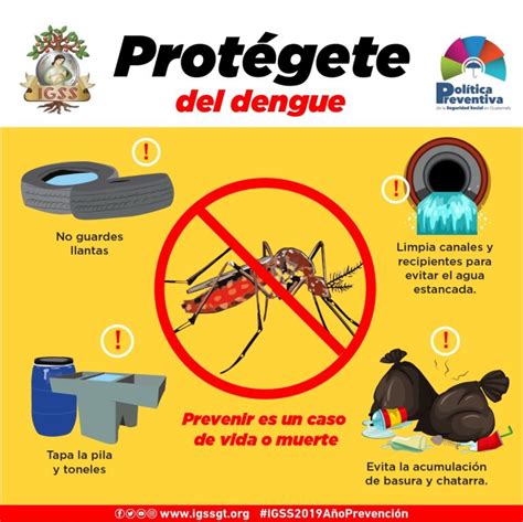 Protégete Del Dengue Seguridad Social Ahora