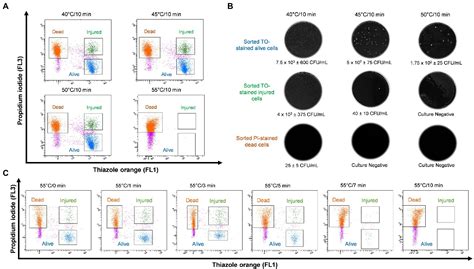 Frontiers Detection And Quantification Of Viable But Non Culturable