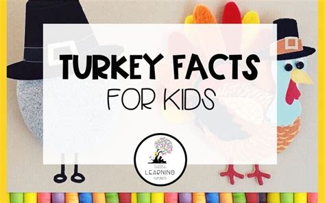 25 Fun Facts About Turkeys for Kids - Little Learning Corner