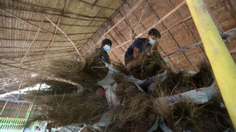 Kreativitas Kampung Matfa Langkat Sulap Limbah Sawit Jadi Ton Lidi