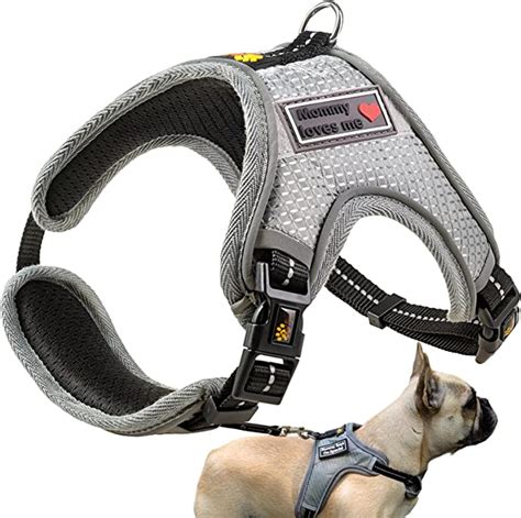 Buy ADITYNA No Pull Dog Harnesses for Small Dogs - No Escape Dog Harness - Item #5401 Cheap | H ...