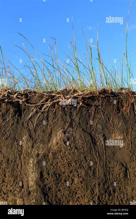 Erosione Del Suolo Terrestre Immagini E Fotografie Stock Ad Alta