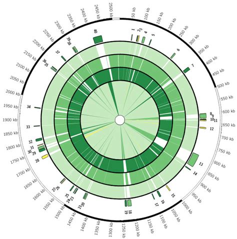 Circular Map Comparing Sequenced Avian Source P Multocida Strains Download Scientific Diagram