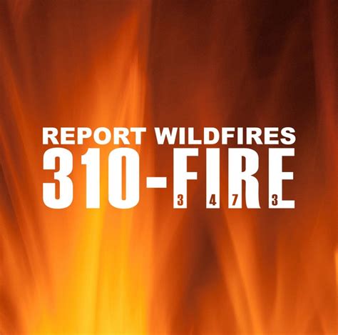 Wildfire Risk Downgraded To High For Grande Prairie Forest Area My Grande Prairie Now