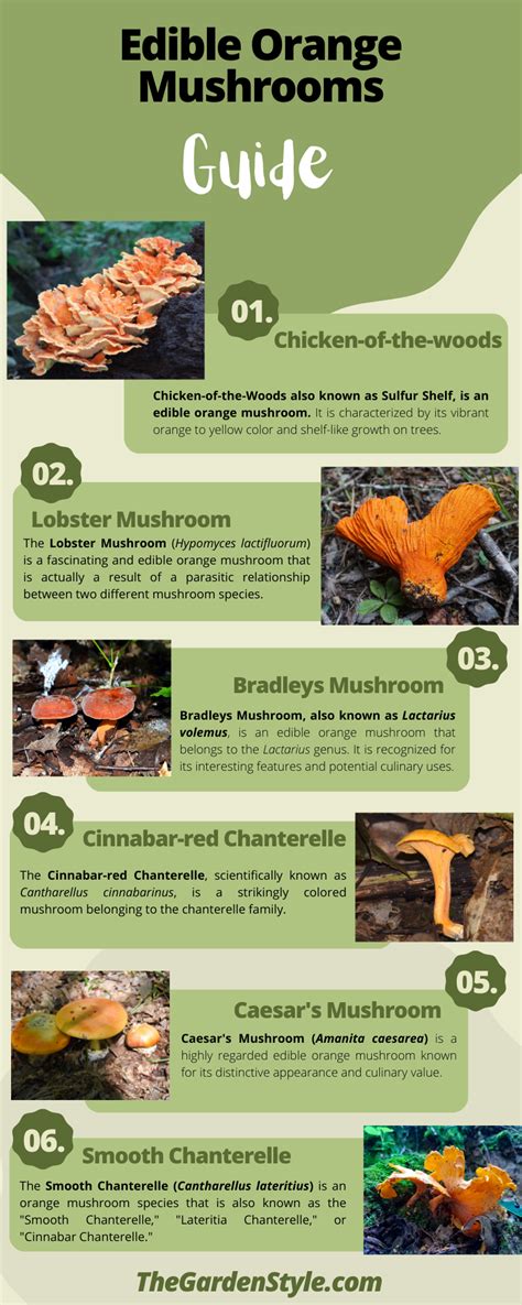 Orange Edible Mushrooms: Identification Guide - The Garden Style