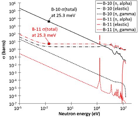 10 B And 11 B Nuclear Reaction Cross Sections After 24 Download