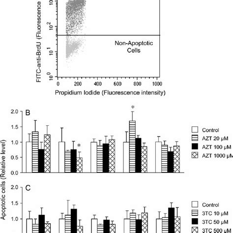 Cell Viability As Assessed By An Mtt Assay A And B And Cell Download Scientific Diagram