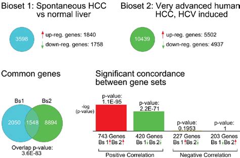 Significant Concordance Between Spontaneous B6c3f1 Mouse Download Scientific Diagram