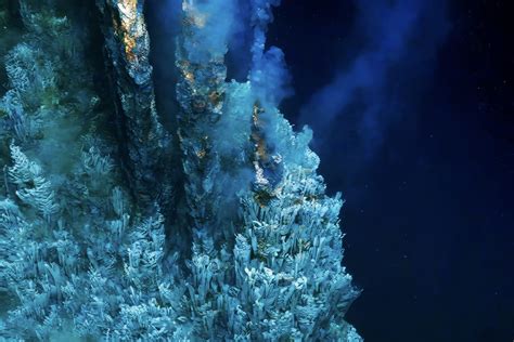 deep sea hydrothermal vent south carolina aquarium