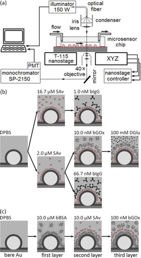 Sensors Free Full Text Label Free Microcavity Biosensors Steps