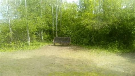 Bench In Warren Gorge Woodland Adrian Benn Cc By Sa 2 0 Geograph