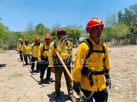 Atiende Protecci N Civil Tamaulipas Dos Incendios Forestales En Jaumave