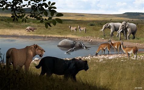 South American megafauna during the Pleistocene : r/Naturewasmetal