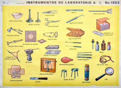 Monografias Escolares Para Imprimir Imagui