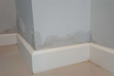 How To Treat Damp Walls Internally Checkatrade