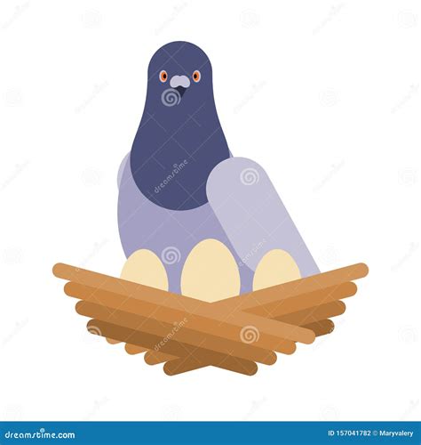 Dove and Nest with Eggs. Pigeon Vector Illustration Stock Vector - Illustration of hatching ...