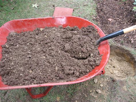 5 Steps to Better Soil for Fall Planting | The Tree Center™