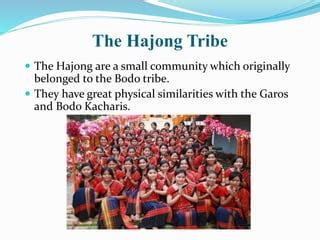 bodo tribe  assam pptx
