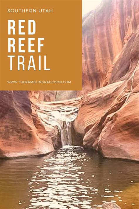 Red Reef Trail Southern Utah Hikes Utah Road Trip Utah Hikes Hiking National Parks