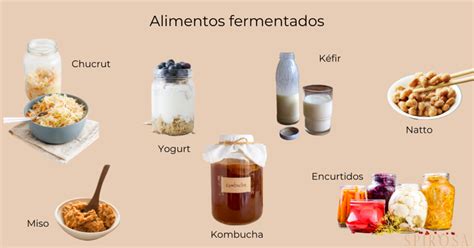 Los Alimentos Fermentados Las Recetas De Laura