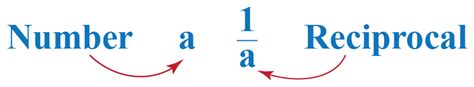 Reciprocal Functions | Graphs | Calculator | Examples - Cuemath