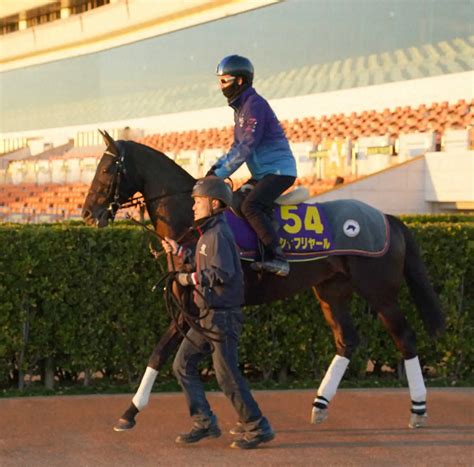 ＜有馬記念 シャフリヤール追い切り＞馬場入りするシャフリヤール（撮影・郡司 修） ― スポニチ Sponichi Annex ギャンブル