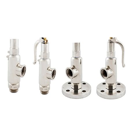 Safety Valves For Gases And Cryogenics Safety Valves Zaes