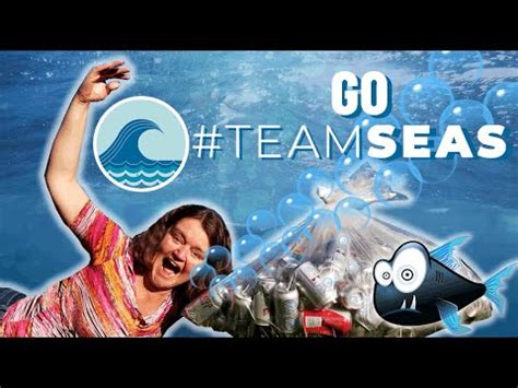 How To Donate To TEAMSEAS With MR BEAST MARK ROBER Ocean Says