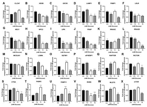 Jpm Free Full Text Primary And Immortalized Cultures Of Human Proximal Tubule Cells Possess