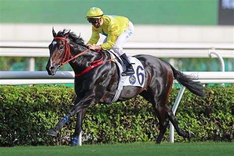 馬季煞科日潘頓羅富全榮膺冠軍騎練 蔡明紹奪得「告東尼獎」 賽馬新聞 香港賽馬會