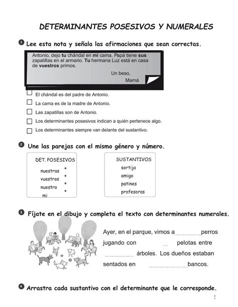 Determinantes Posesivos Y Numerales Activity Posesivo Afirmaciones Cuadro De Texto