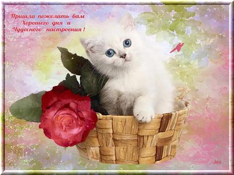 Открытка чудесному человеку от всего сердца - 70 фото