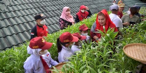 Mbak Ita Mulai Sasar Pelajar Untuk Belajar Urban Farming Rmol Jateng