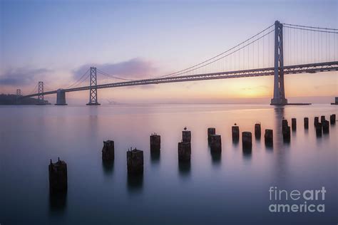 Low Angle View Of Oakland Bay Bridge by Terenceleezy