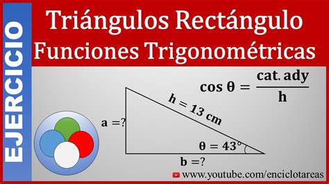 CATETOS DE UN TRIÁNGULO RECTÁNGULO - Funciones Trigonométricas No.1 ...