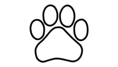 Dog Paw Print Outline - Cliparts.co